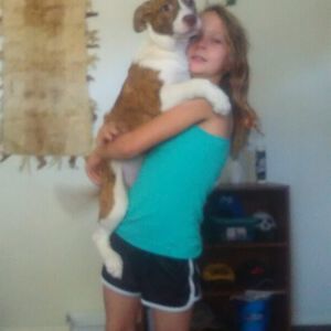 Meet your Posher, Donnae